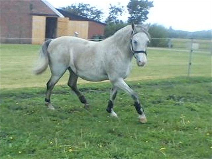 Widoz i alt hvad det indebære:-)  billede 67