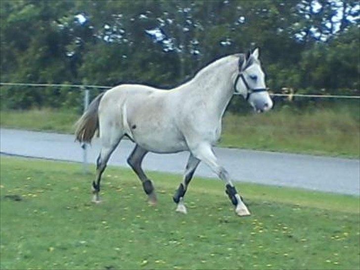 Widoz i alt hvad det indebære:-)  billede 68