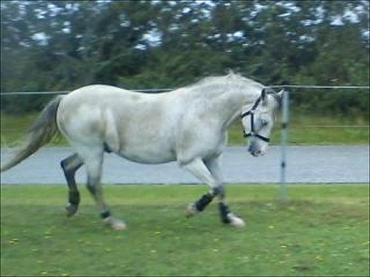 Widoz i alt hvad det indebære:-)  billede 70