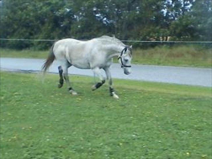 Widoz i alt hvad det indebære:-)  billede 73