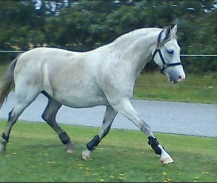 Widoz i alt hvad det indebære:-)  billede 14