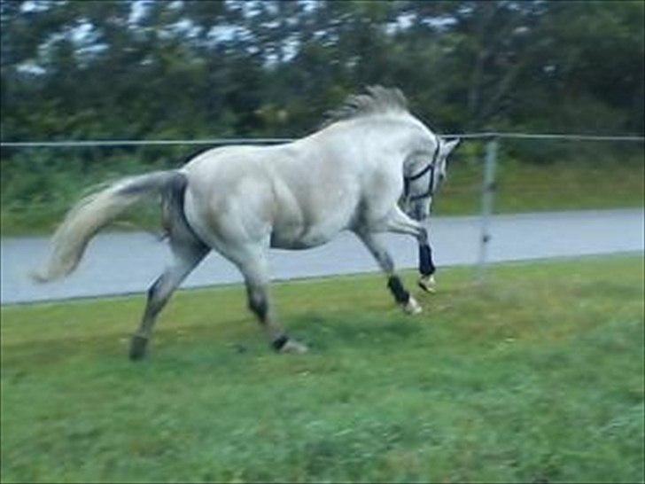 Widoz i alt hvad det indebære:-)  billede 15