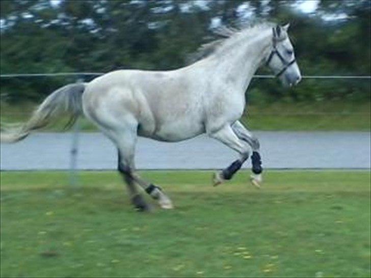 Widoz i alt hvad det indebære:-)  billede 74