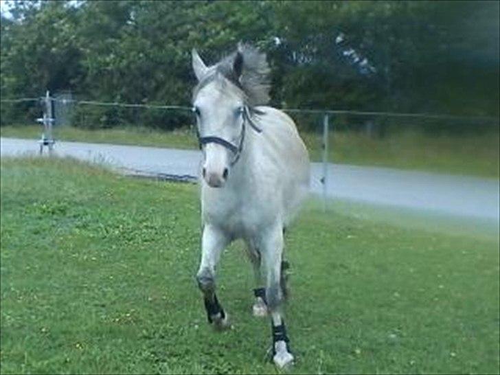 Widoz i alt hvad det indebære:-)  billede 4