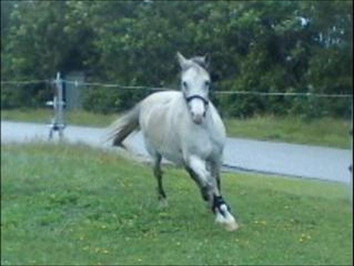 Widoz i alt hvad det indebære:-)  billede 77