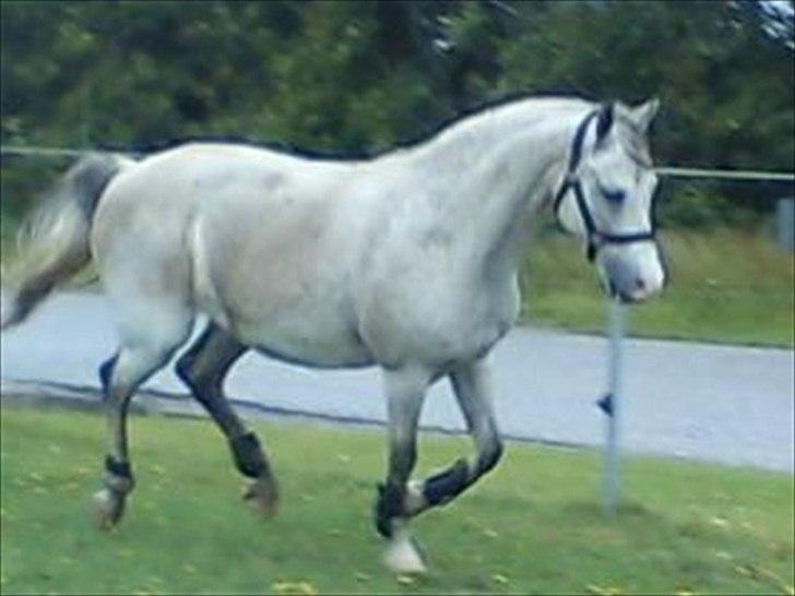 Widoz i alt hvad det indebære:-)  billede 5