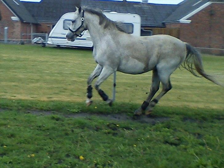 Widoz i alt hvad det indebære:-)  billede 79