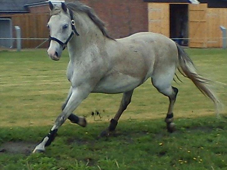 Widoz i alt hvad det indebære:-)  billede 1