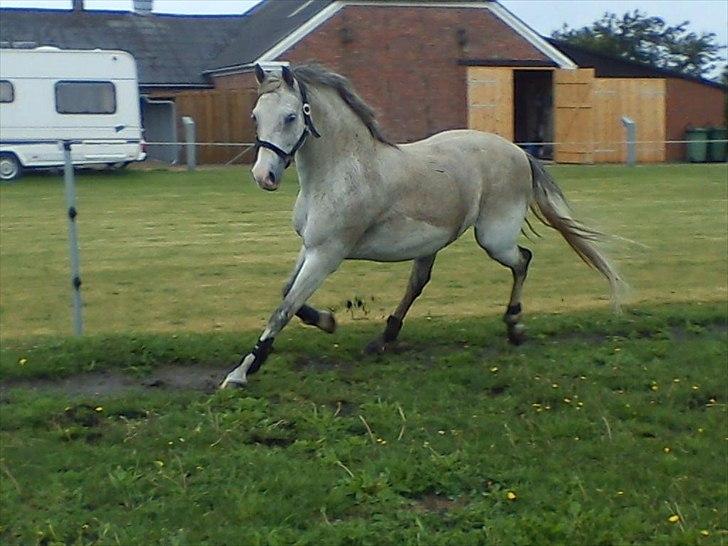 Widoz i alt hvad det indebære:-)  billede 16