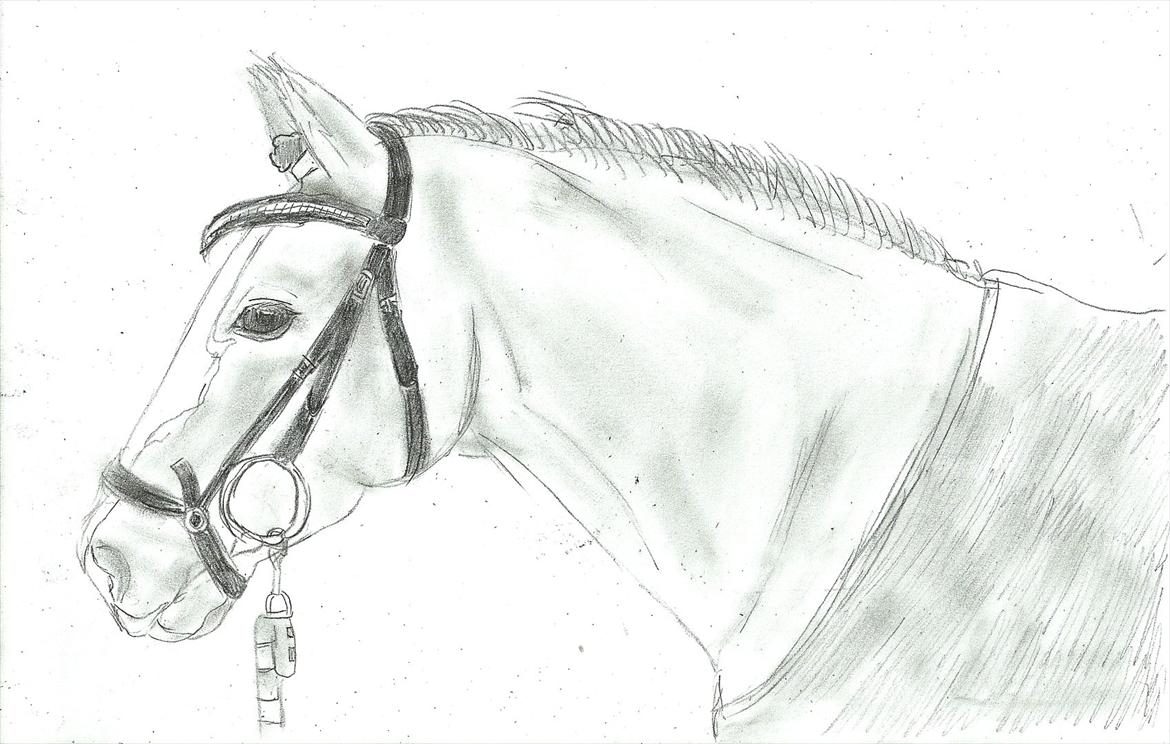 Tegninger :D   - Tegning til Tessa N. Schmidt S :)
Tegnet søndag d. 17. juli 2011
 billede 286