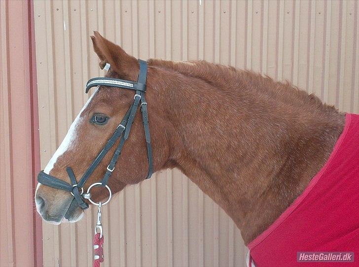 Tegninger :D   - Originalt billede :) - Tarzan billede 287