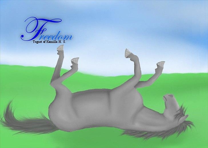 Mine hestetegninger på computeren :) billede 40