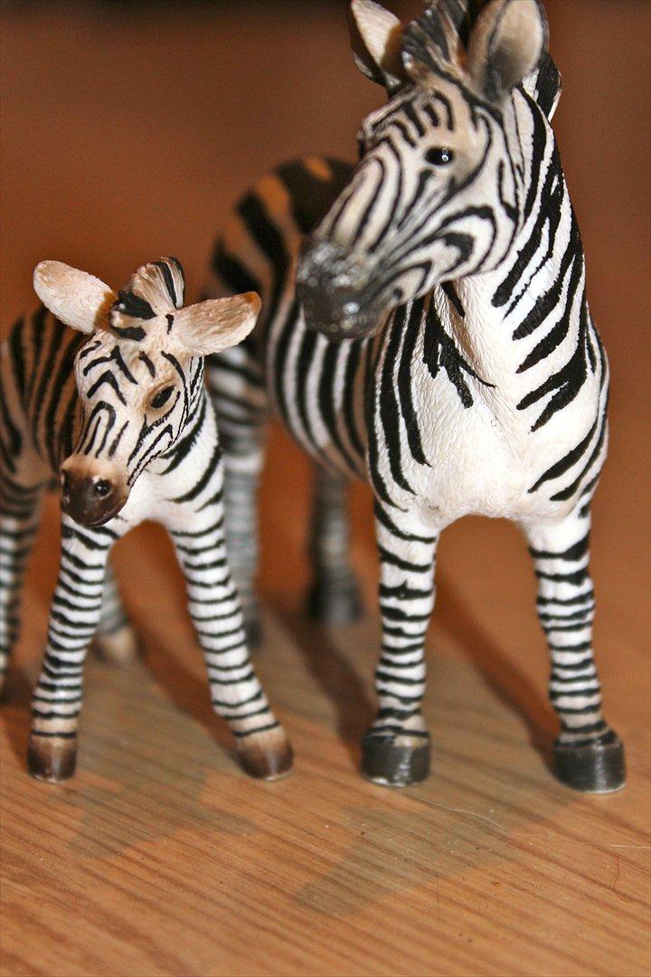 Schleich - Zebrafamilie billede 23