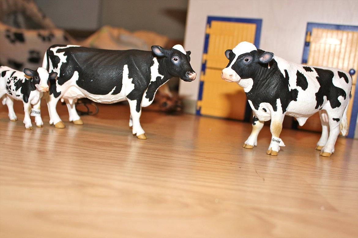 Schleich - Kofamilie billede 24