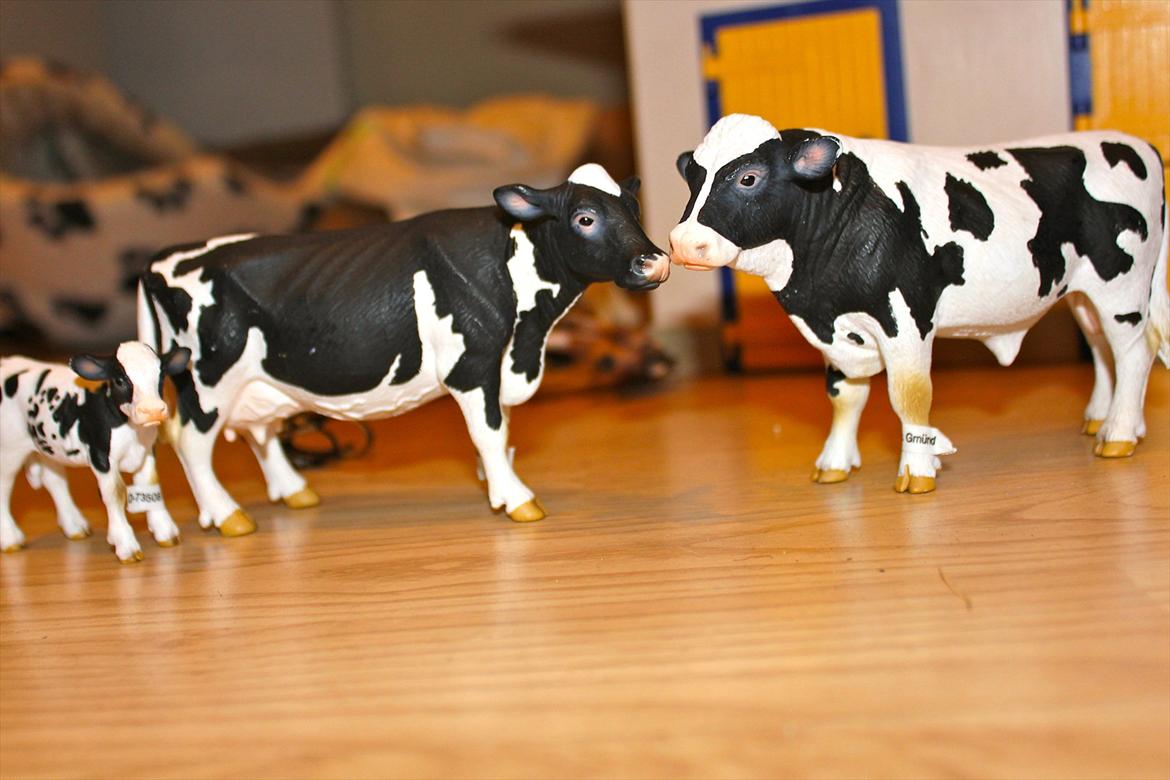 Schleich billede 25