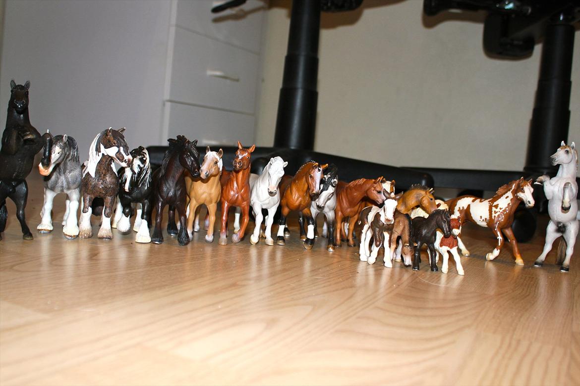 Schleich - Alle hestene undtagen araberhoppen og shetlænderen kan ikke ses. Pintoen er den eneste der ikke er et enkelt billede af. billede 32