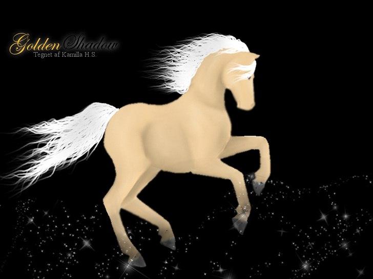 Mine hestetegninger på computeren :) - GOLDEN SHADOW! En af mine ynglingstegninger:D  billede 41