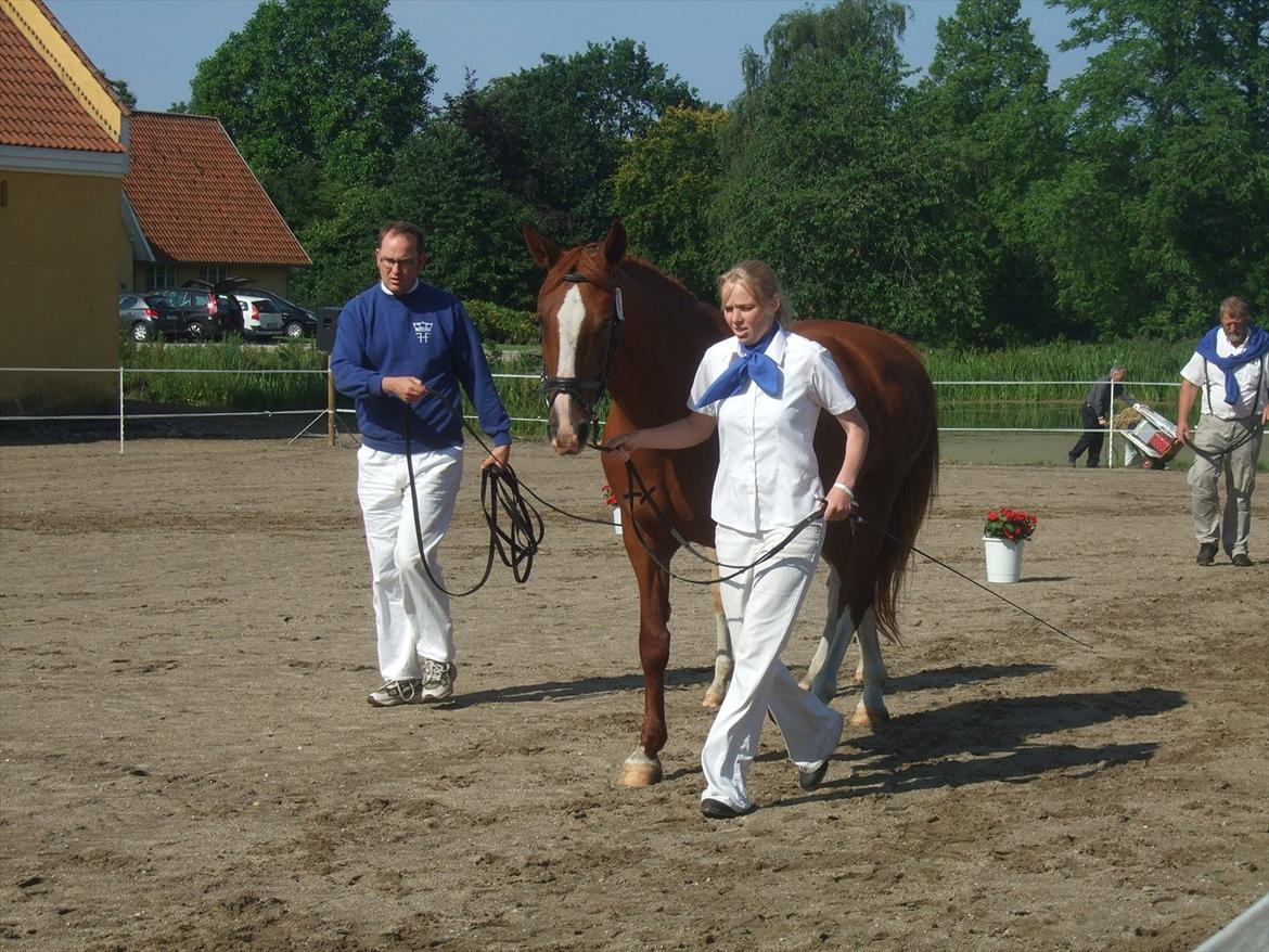 Brahetrolleborg hesteskue 2011 - 5: Slot's Kaizer, frederiksborg hingsteføl

15: Raschs Athena, 12 år, frederiksborg hoppe  billede 26