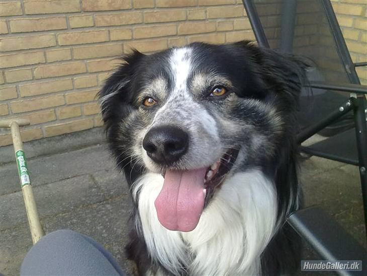 {{currentPhoto.altText}} billede {{currentPhoto.number}}