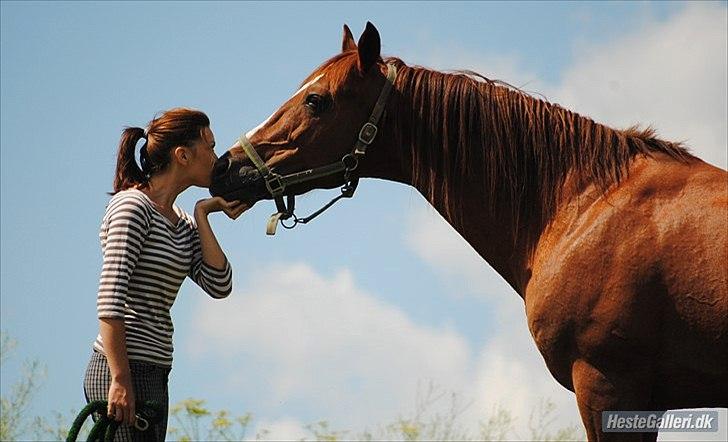 Tegninger :D   - Original billede :) - Cannyon Garbo & Malou billede 283