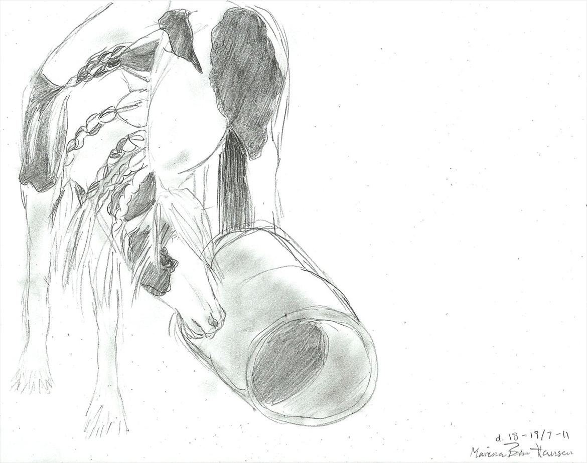 Tegninger :D   - Tegning til Miza. :)
Tegnet mandag + tirsdag d. 18-19. juli 2011 billede 280