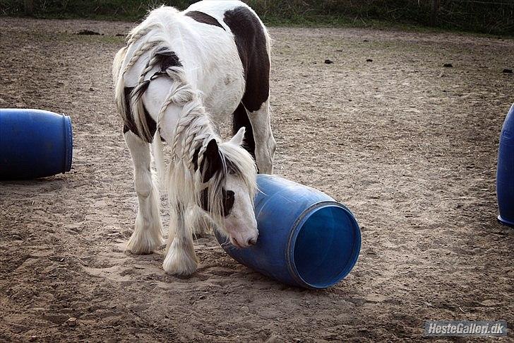 Tegninger :D   - Original billede :) - Willow of Titans billede 281