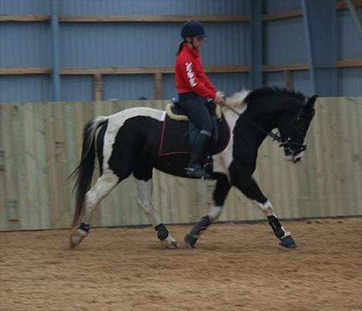 Tegninger :D   - Original billede :) - Enghøjgårdens Tøsen PIN 126 & Carina billede 275