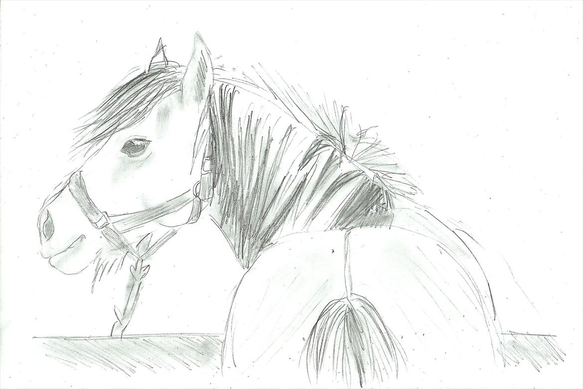 Tegninger :D   - Tegning til " josefine+basse" :) 
Tegnet onsdag + torsdag d. 20-21. juli 2011 billede 270