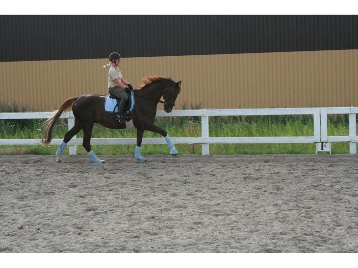 {{currentPhoto.altText}} billede {{currentPhoto.number}}