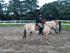 smilla dressurtræning den 19/07