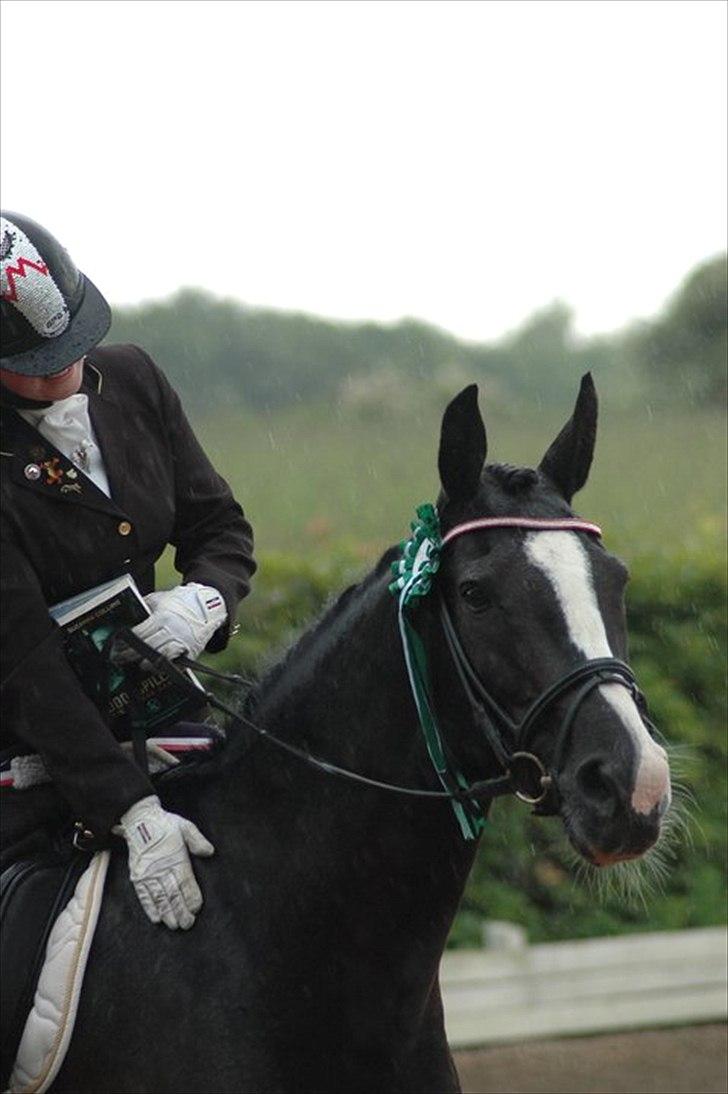 Alt muligt billede 29