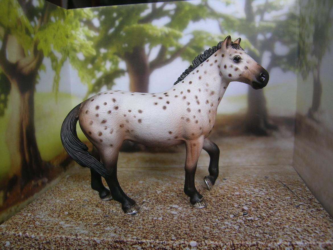 Mine Schleich Dyr - Navn: Aiko Race: Knapstrupper Køn: Hingst Alder: 8 år billede 37