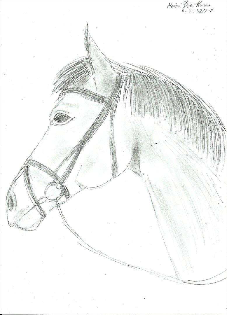 Tegninger :D   - Tegning til Tessa N. Schmidt S :)
Tegnet torsdag d. 21. juli 2011
 billede 264