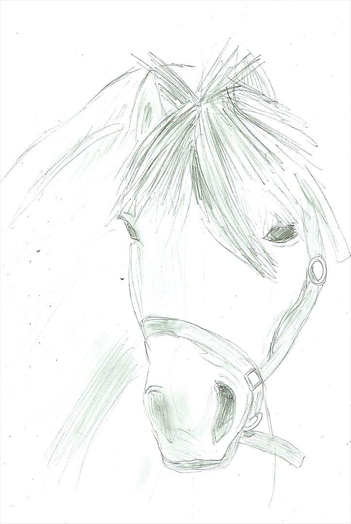 Tegninger :D   - Tegning til melanie G :)
Tegnet lørdag d. 23. juli 2011
 billede 256