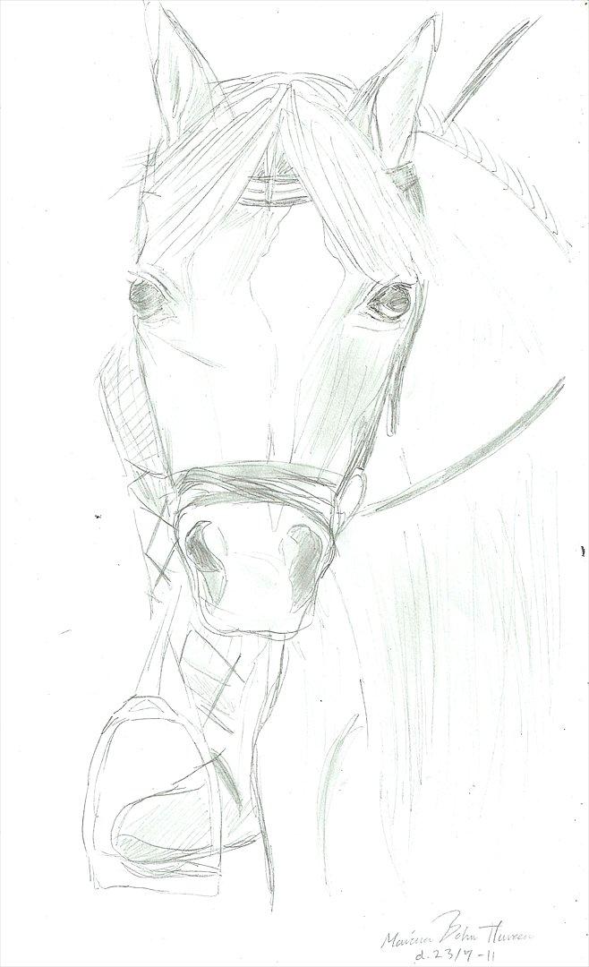 Tegninger :D   - Tegning til °º¤ Carina - Tronsø 11/12 ¤º° 
Tegnet lørdag d. 23. juli 2011 billede 254