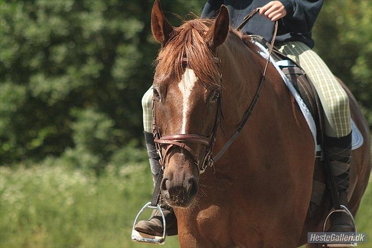 Tegninger :D   - Original billede :) - Donner-Surprice  billede 255