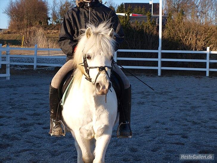 Tegninger :D   - Original billede :) - Gibvads Nielaus  billede 263