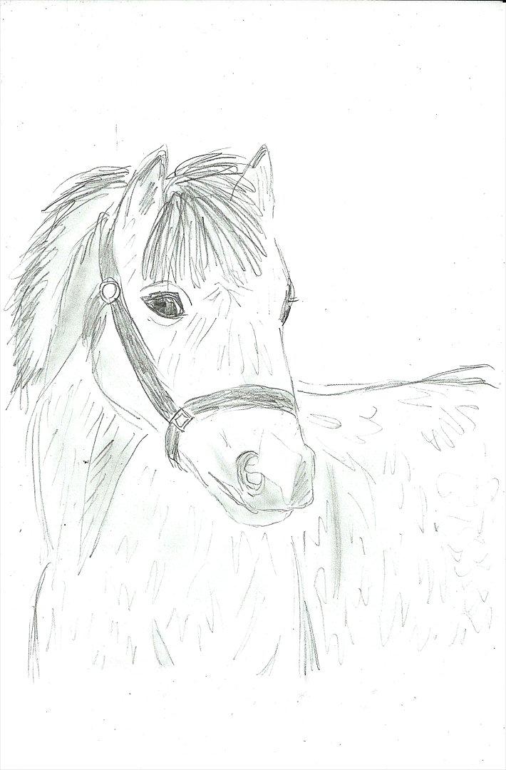 Tegninger :D   - Tegning til " josefine+basse" :) 
Tegnet torsdag d. 21. juli 2011  billede 268