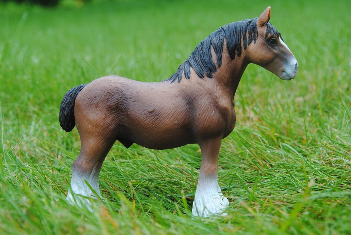 Mine Schleich heste - Clydesdale hingst: Obelix billede 58