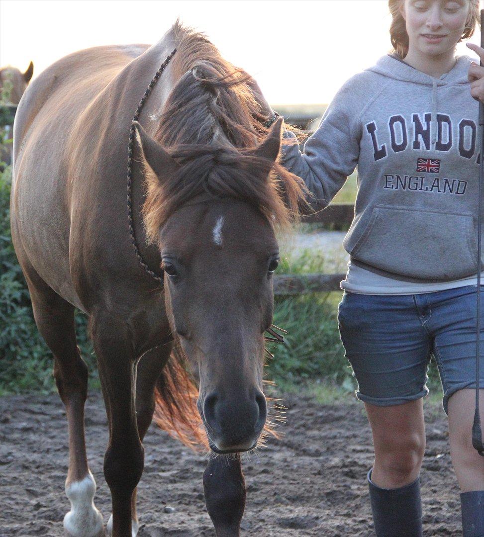 Pyt i Paradis  billede 15