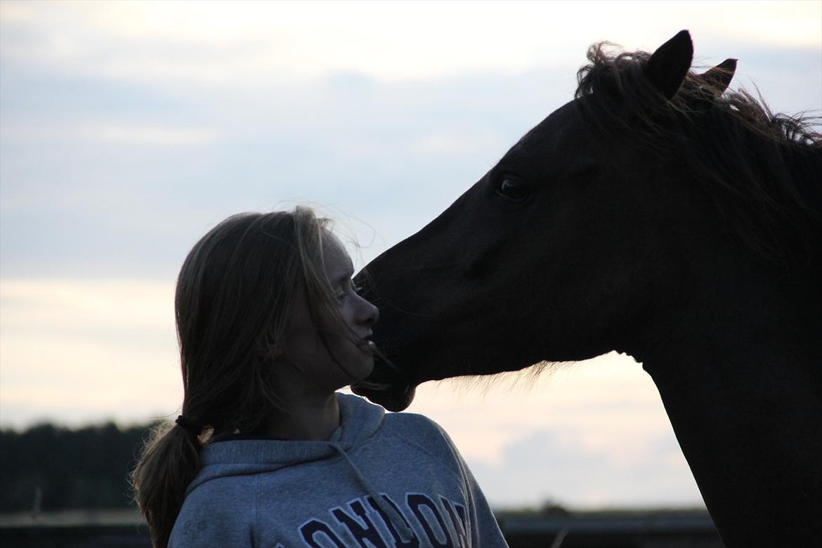 Pyt i Paradis  billede 16