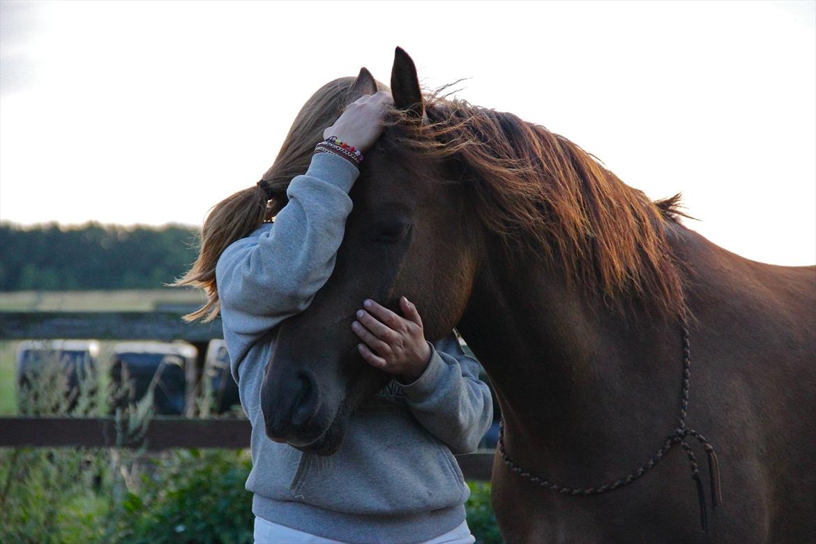 Pyt i Paradis  billede 17