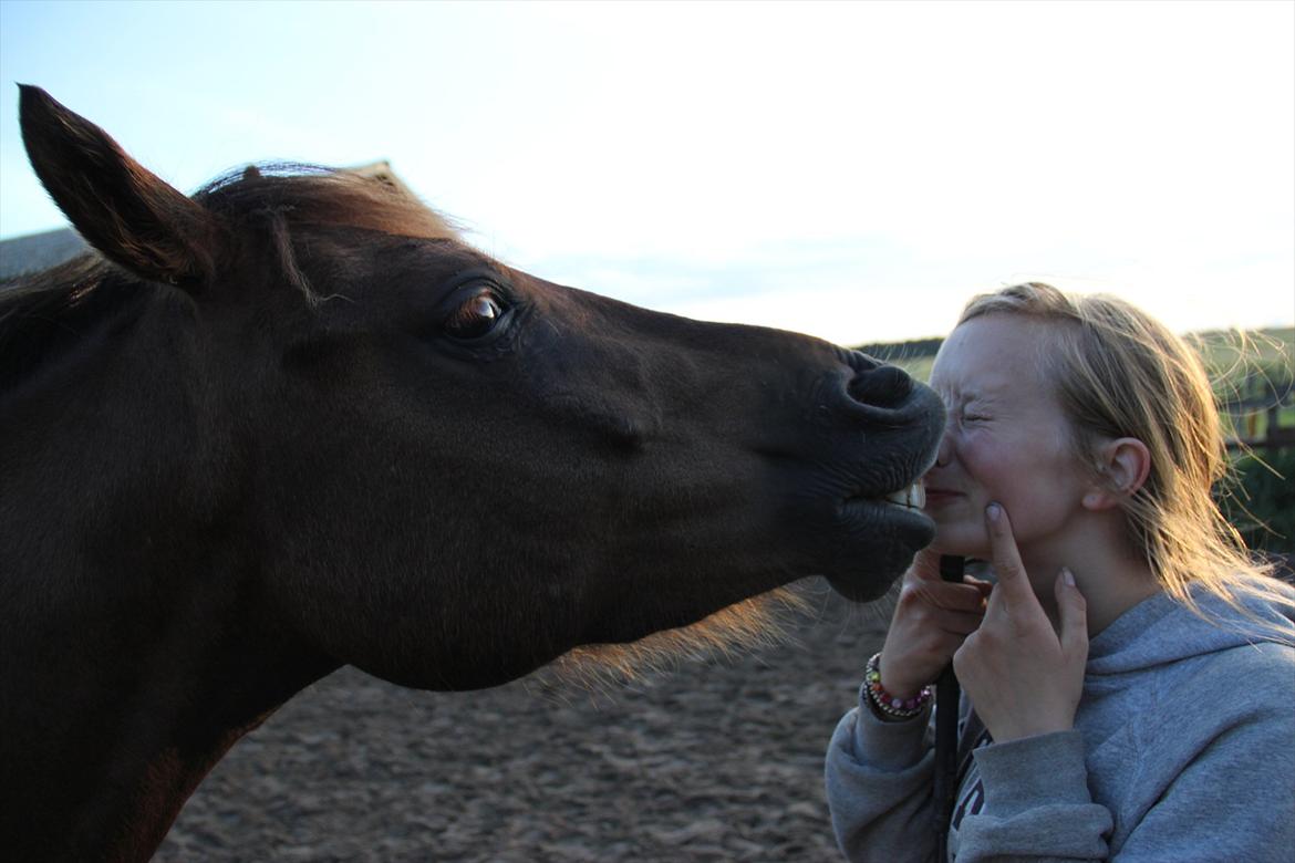 Pyt i Paradis  billede 18