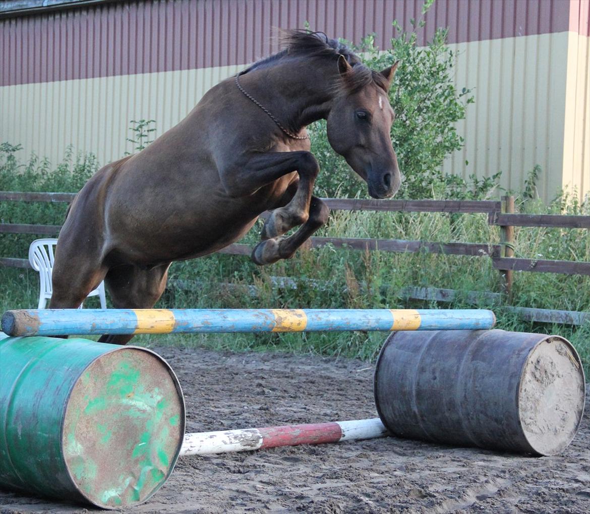 Pyt i Paradis  billede 20