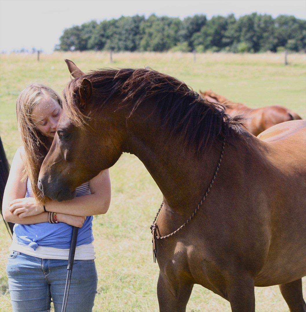 Pyt i Paradis  billede 21