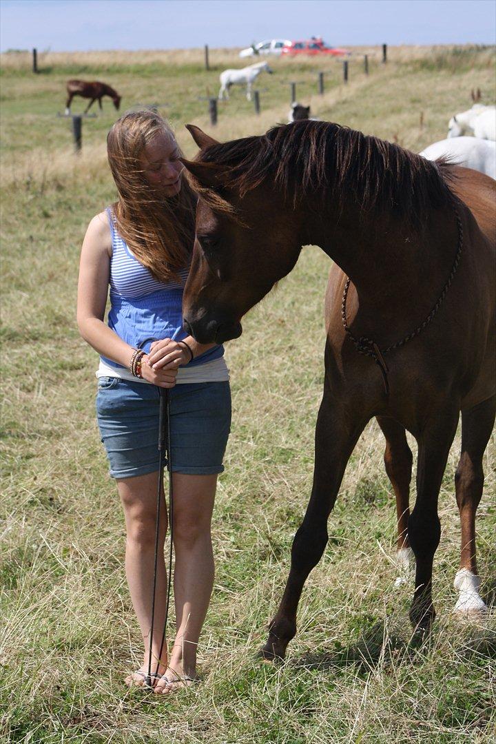 Pyt i Paradis  billede 22