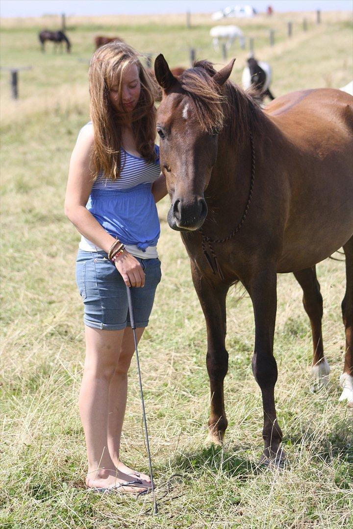 Pyt i Paradis  billede 23