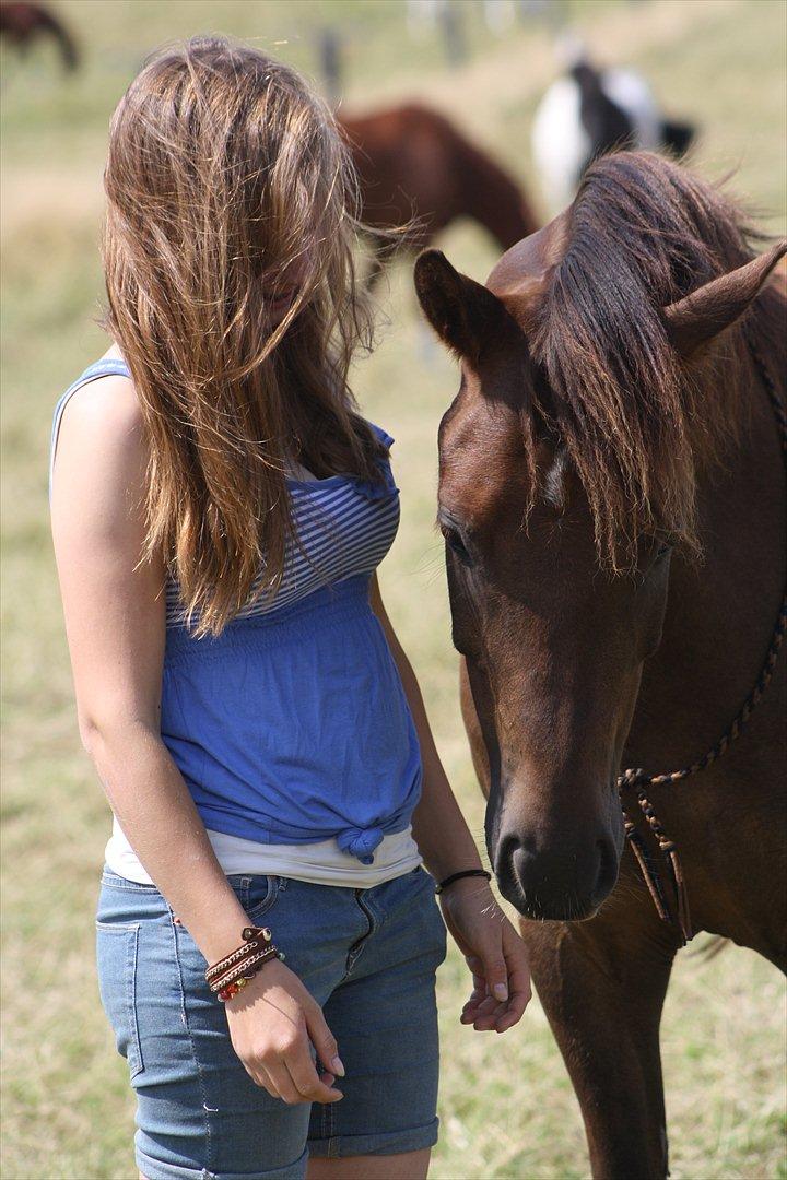 Pyt i Paradis  billede 24