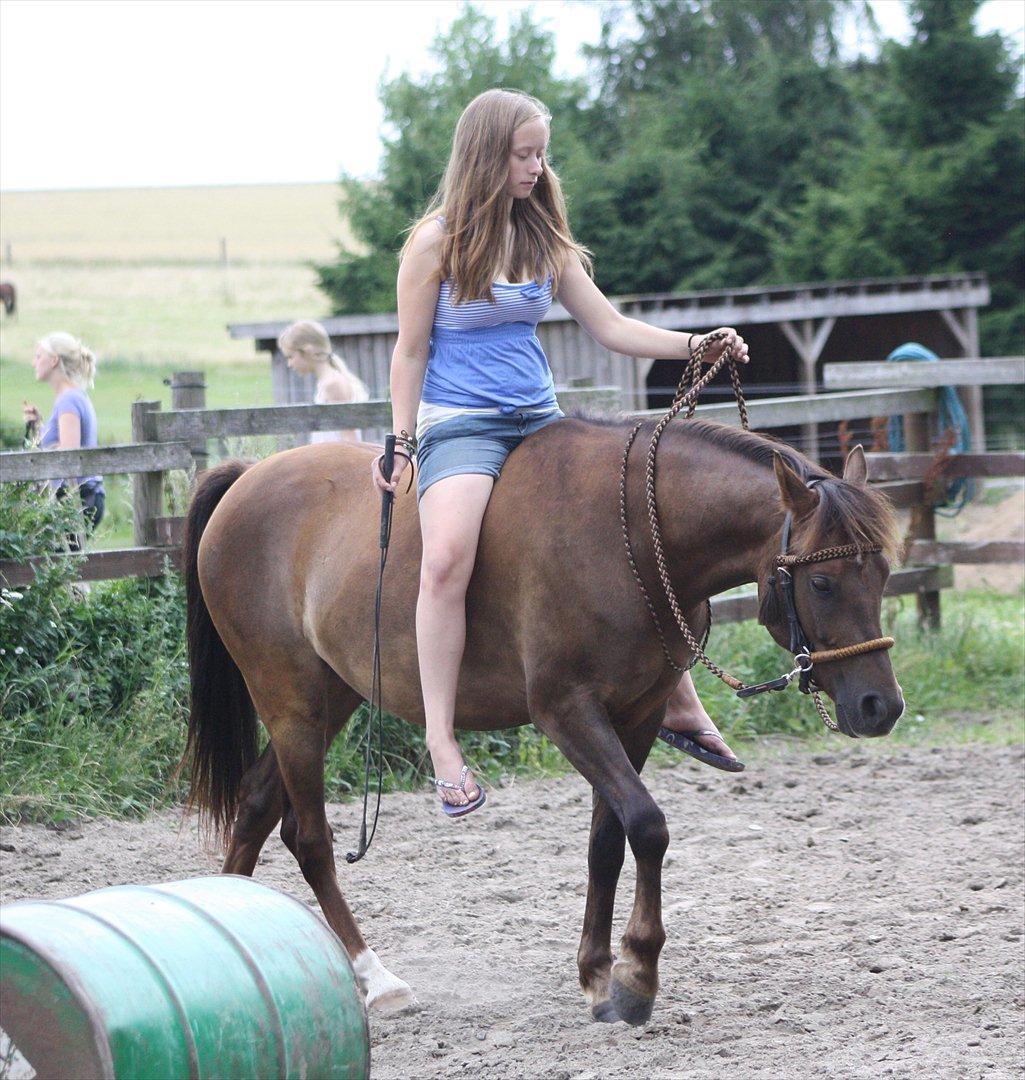 Pyt i Paradis  billede 25