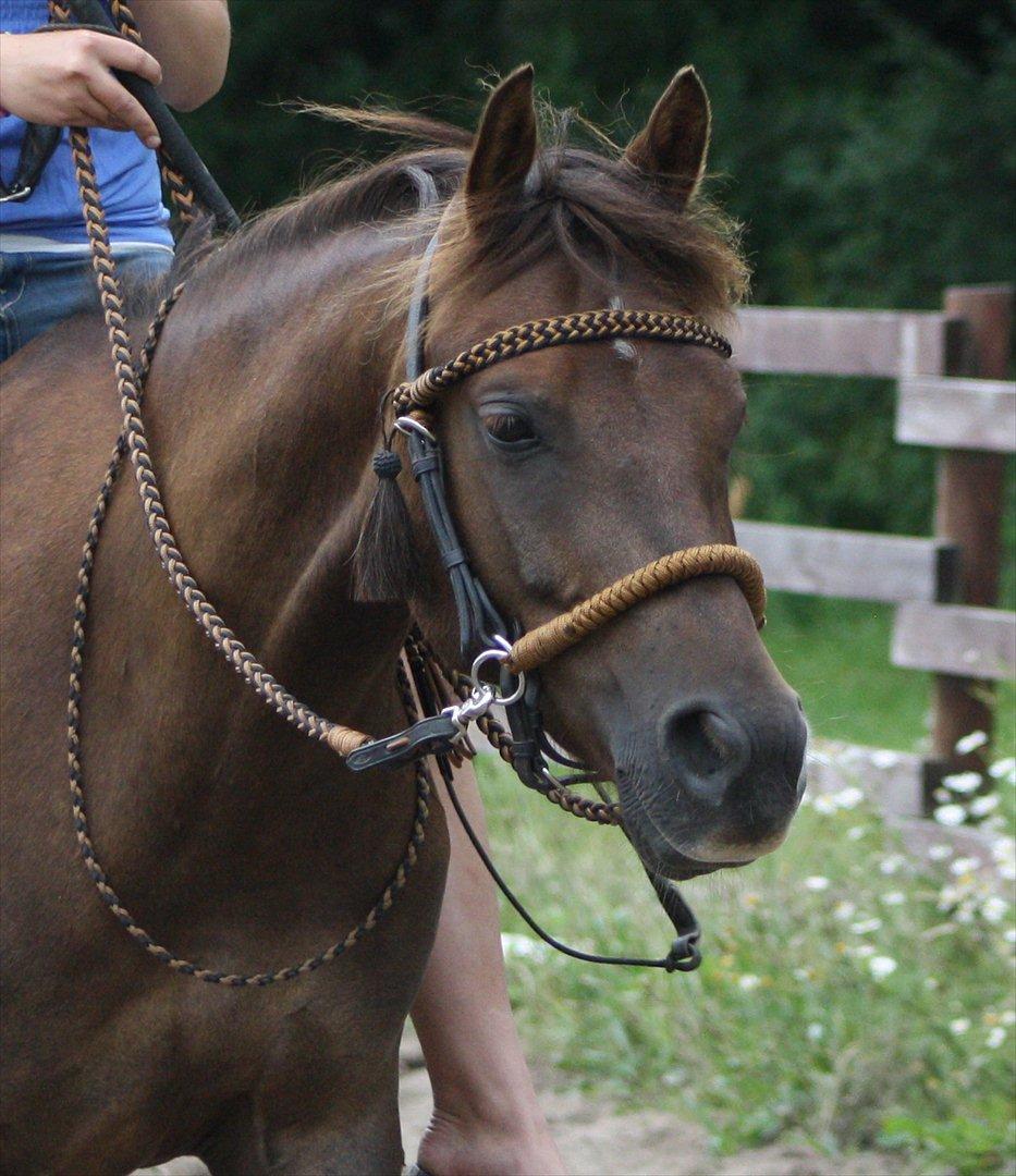 Pyt i Paradis  billede 26